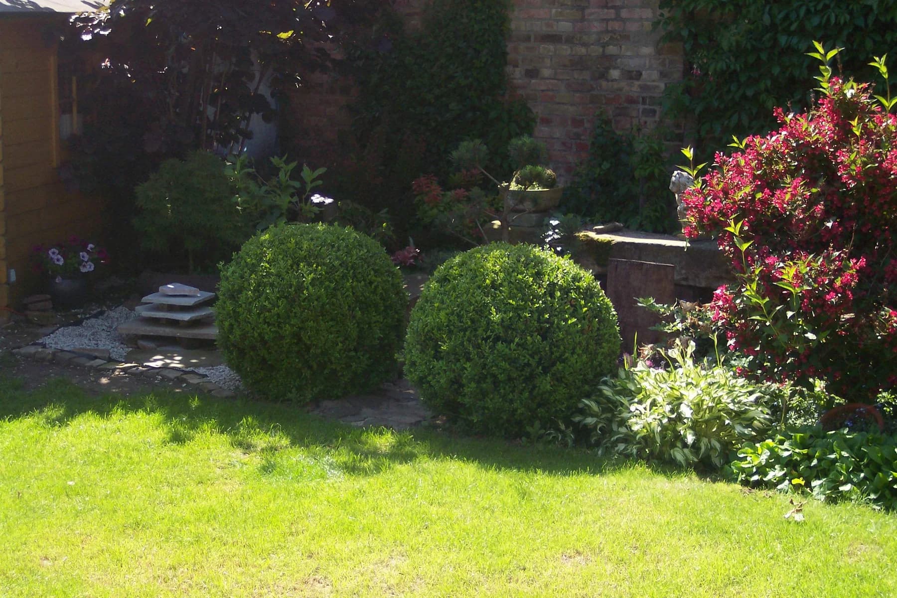 Sonniger Garten mit runden Buchsbäumen und blühenden Beeten